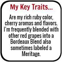 My Key Traits...
