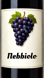 Nebbiolo
