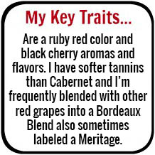 My Key Traits...