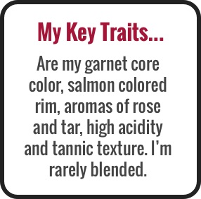 My Key Traits...