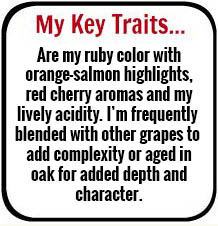 My Key Traits...