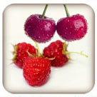 Cherries & Raspberries