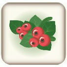 Cranberry
