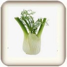 Fennel