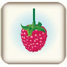 Raspberry