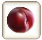 Red Plum